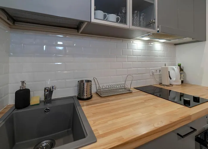 Harmony - Residences Of Pulkveza Brieza Street Next To Silent Center Dzīvoklis Riga