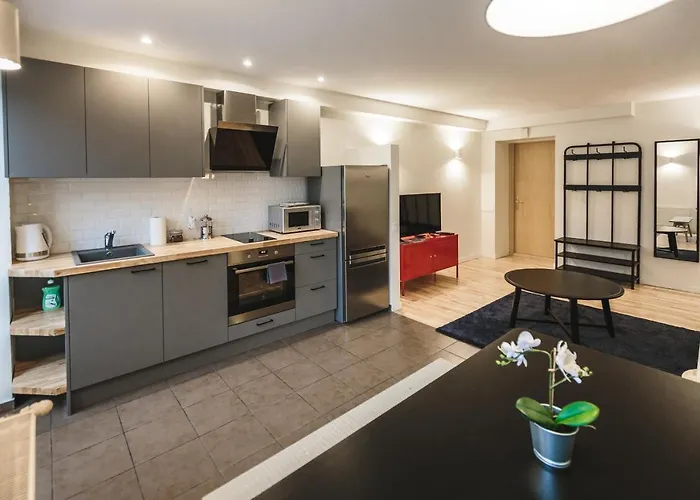 Harmony - Residences Of Pulkveza Brieza Street Next To Silent Center Dzīvoklis Riga