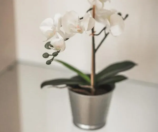 Harmony - Residences Of Pulkveza Brieza Street Next To Silent Center Dzīvoklis *