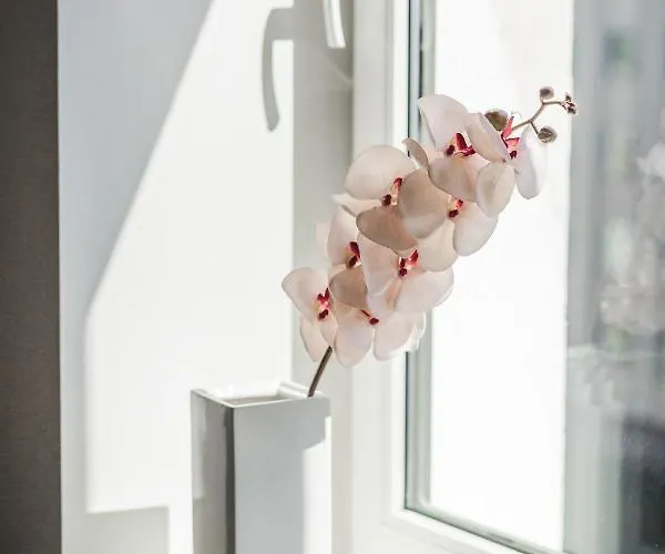 Harmony - Residences Of Pulkveza Brieza Street Next To Silent Center Dzīvoklis *